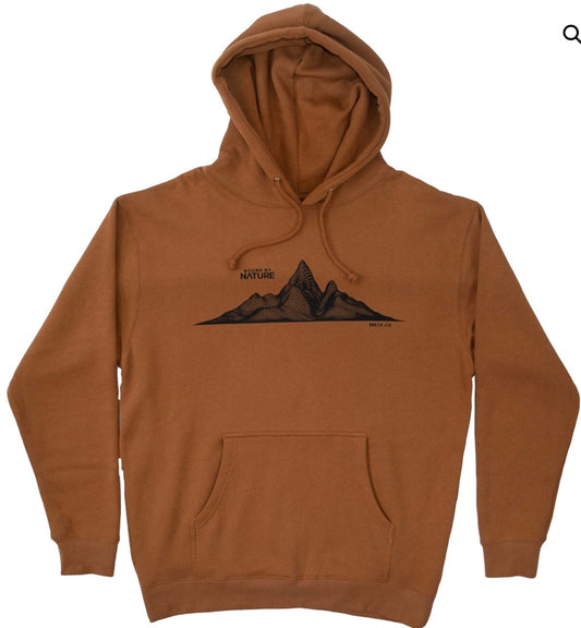 Wireframe Mountain Hood